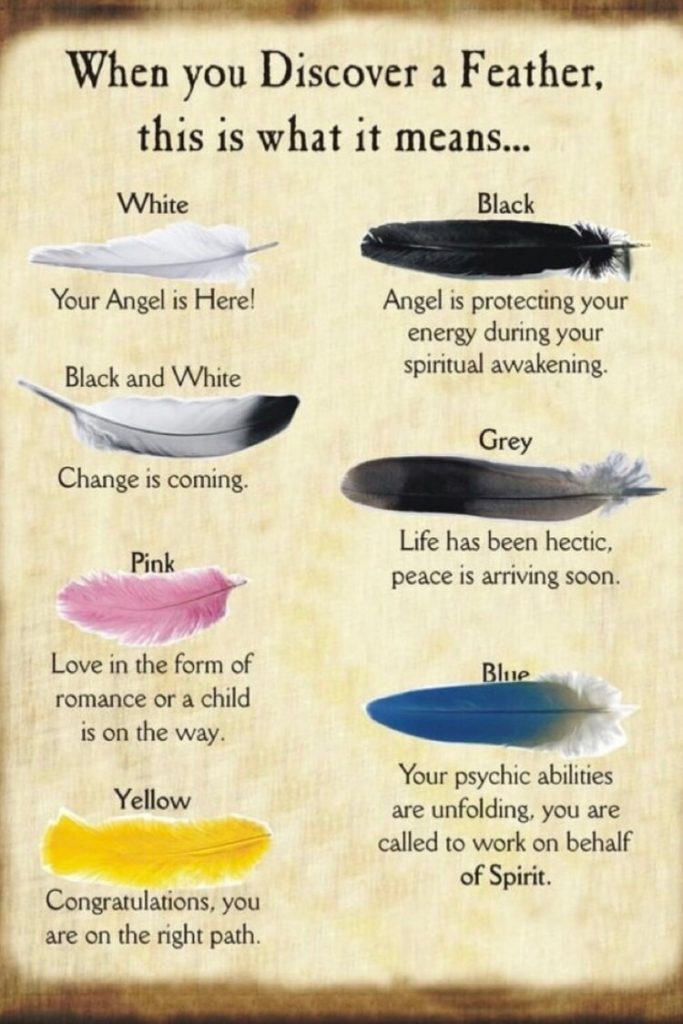 Angel Feathers and Messages 